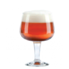 Pack of 6 Beer glasses, Gusto 2924/43, Premium Collection, Durobor